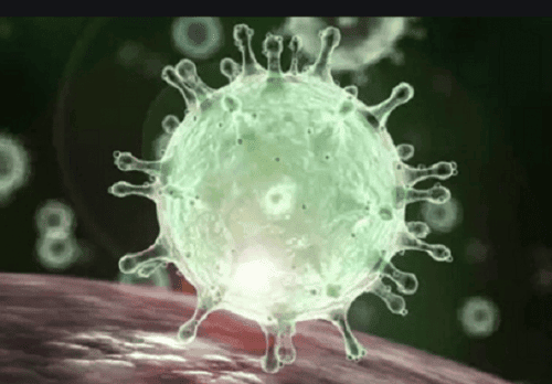 coronavirus