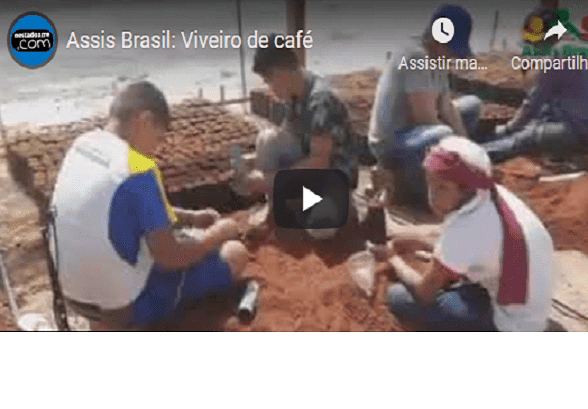 viveiro café