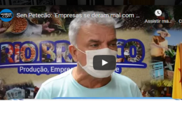petecao-video-260x188.png