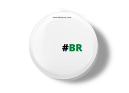 br-logo-260x188.png