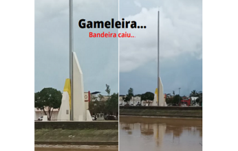 gameleira-bandeira-346x220.png