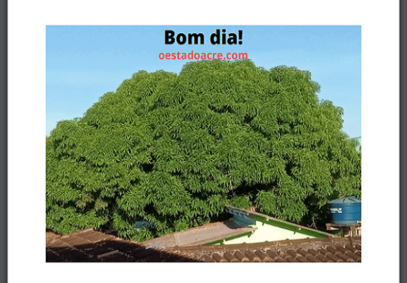 bom dia 21