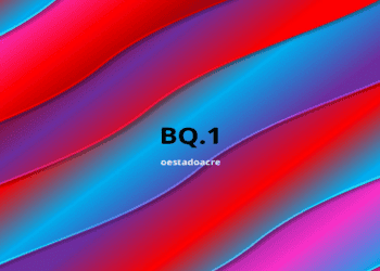 bq1