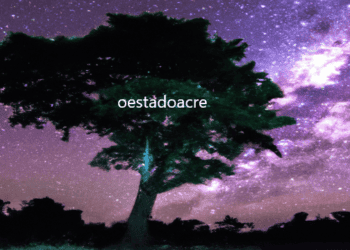 Rio Branco através das lentes📷