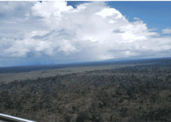 Acre: 3 km² de floresta desmatadas (conciliação necessária)