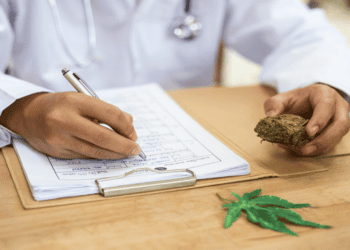 Cannabis medicinal: TV Senado atualiza; assista