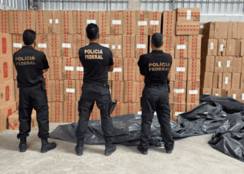 PF apreende 36 milhões de cigarros contrabandeados em Caruaru