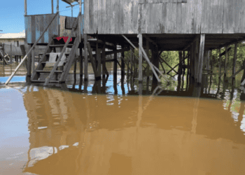 Leptospirose: Cruzeiro do Sul registra 10 casos em 2023