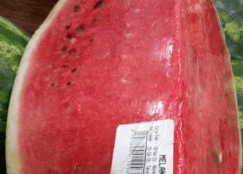melancia