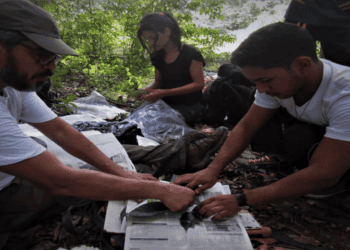 Professor da Ufac em destaque: ‘Amazônia está no centro das discussões’