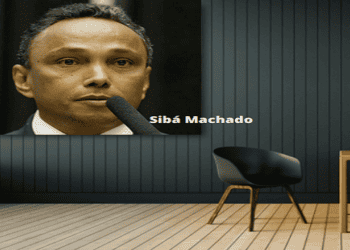 coluna do sibá logo