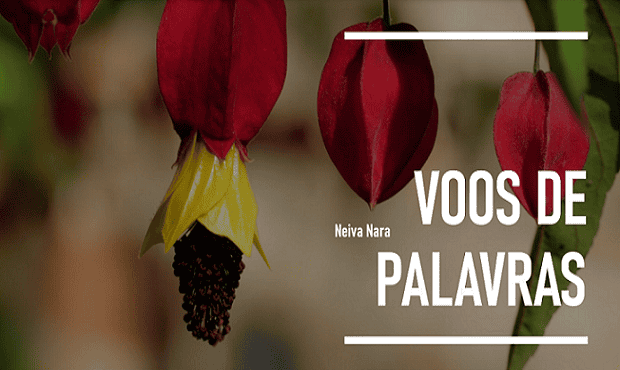 voos de palavras