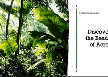 belezas do acre