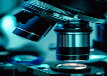 Ciência tem de se adaptar à transformação…