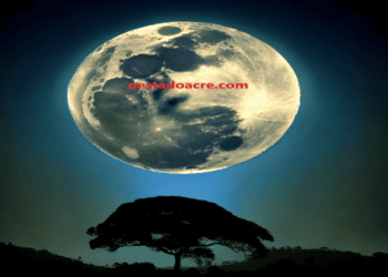 Primeira Superlua do ano poderá ser vista nesta segunda-feira (3)