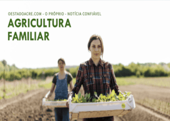 MDA facilita obtenção do Cadastro Nacional da Agricultura Familiar