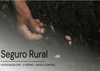 Mapa atualiza cartilha de programas de apoio ao Seguro Rural