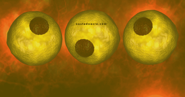 Como surge o câncer?