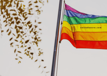 Conselho do governo orienta que escolas permitam uso de banheiro de acordo com identidade de gênero