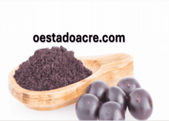 Açaí de Feijó conquista 1ª Indicação Geográfica para o produto no país