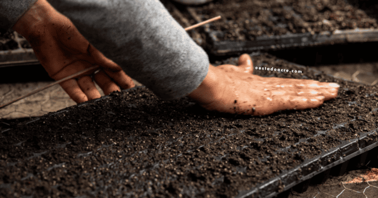 MMA lança edital para apoiar iniciativas de compostagem e agricultura urbana