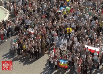 O apelo do Papa Francisco…