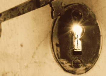 Comece a ler agora mesmo em PDF…Professor Ladislau Dowbor…📘