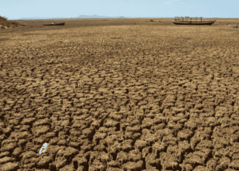 Seca na região norte do nordeste deve se agravar, diz Instituto de Meteorologia