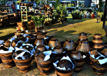 Feira de empreendedores locais no Horto Florestal: união de natureza, lazer e oportunidade