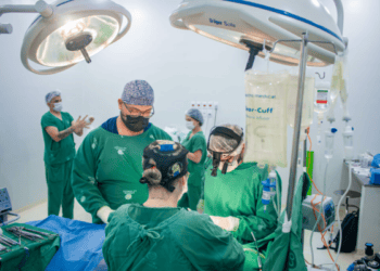 Uma nova chance de vida: transplante de fígado no Acre