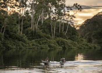 Mutirão do INSS na Reserva Extrativista Rio Xingu: acesso a direitos previdenciários para comunidade isolada