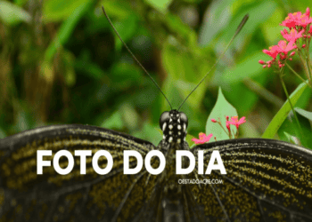 Foto do dia: na beira do Juruá