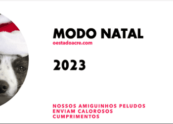 modo natal
