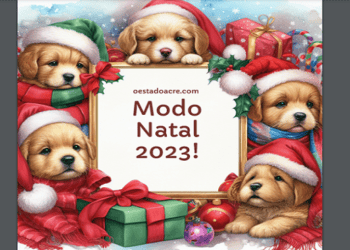 modo natal