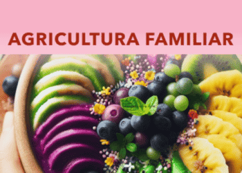 Embrapa revela segredo para aumentar produção de Açaí🔈