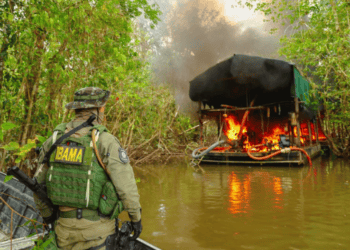 Redução da mineração ilegal em 85% na TIY, segundo Ibama