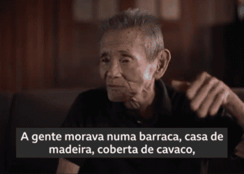 Japoneses do Pará vencem desafios para alcançar sucesso na agricultura📹📹📹