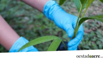 Ações urgentes contra ameaça de erosão