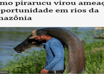 O famoso astro dos rios amazônicos