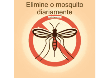 Dengue avança e estado está entre os mais afetados