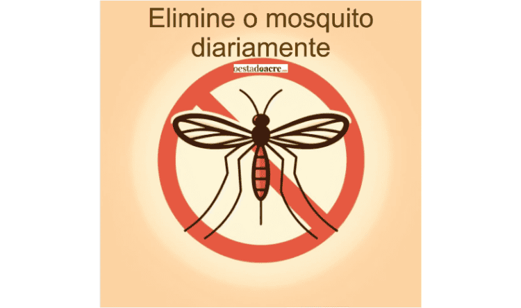 Dengue avança e estado está entre os mais afetados