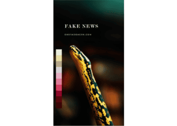 Avanço contra notícias falsas…📹