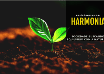 Momento decisivo para transformação ecológica do país