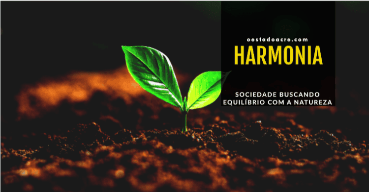 Momento decisivo para transformação ecológica do país