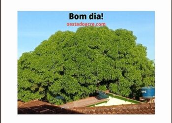 IBGE: recorde de empregos com carteira assinada no Brasil