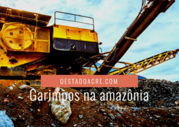 Garimpos na Amazônia equivalem a duas Belém📹