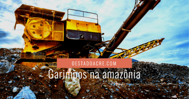 Garimpos na Amazônia equivalem a duas Belém📹