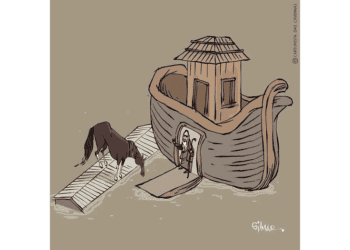 Brasileiros se unem contra apagão ambiental e fake news