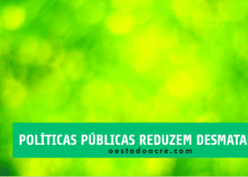 Amazônia: o efeito das políticas públicas na redução do desmatamento