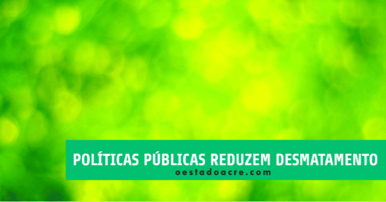 Amazônia: o efeito das políticas públicas na redução do desmatamento